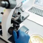 Osoba w niebieskich rękawiczkach ustawia ostrość mikroskopu laboratoryjnego obok laptopa