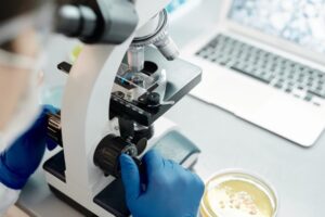 Osoba w niebieskich rękawiczkach ustawia ostrość mikroskopu laboratoryjnego obok laptopa