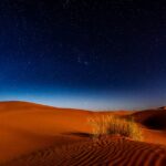 Piaszczyste wydmy pustynne pod rozgwieżdżonym nocnym niebem z kępą suchej trawy.