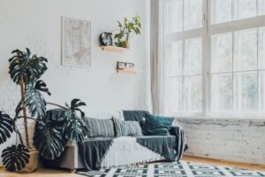 Jasny salon z dużą monsterą, kanapą przy oknie i półkami na ścianie