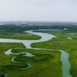 Kręta rzeka wijąca się przez rozległe zielone tereny podmokłe z lotu ptaka